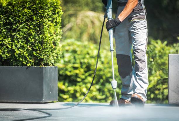 Best Animal Enclosure Cleaning  in Kendall, FL